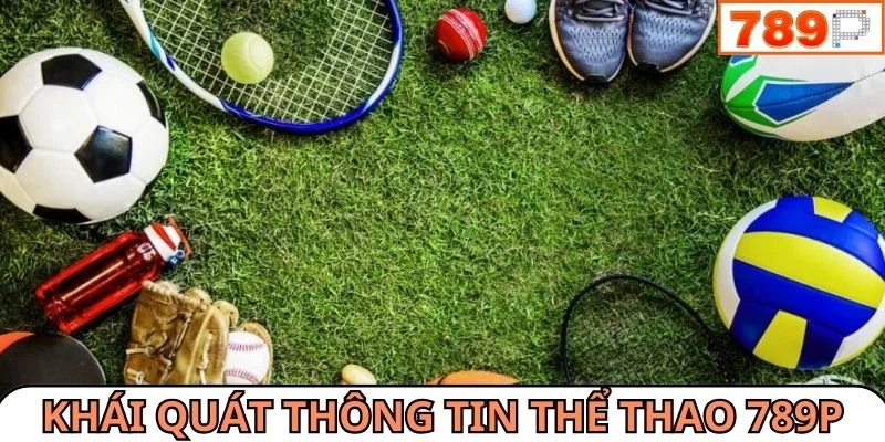 Khái quát thông tin quan trọng nhất về danh mục thể thao 789P